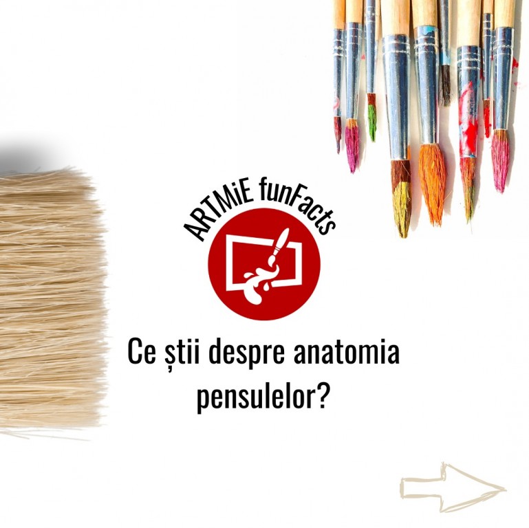 Ce Știi despre Anatomia Pensulelor pentru Pictură?