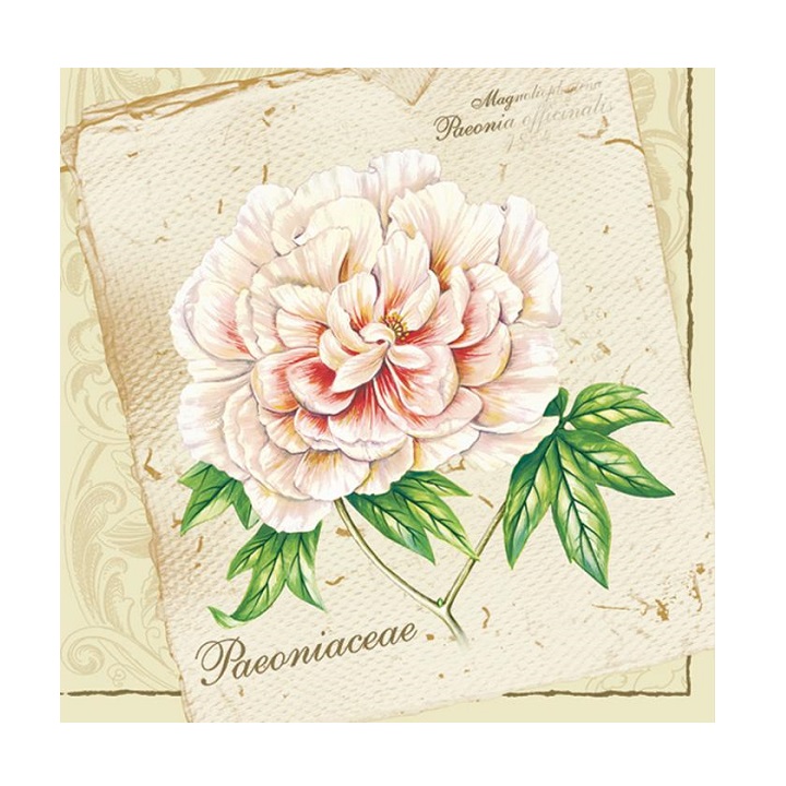 Șervețele pentru decoupage - hortensie - 1 buc