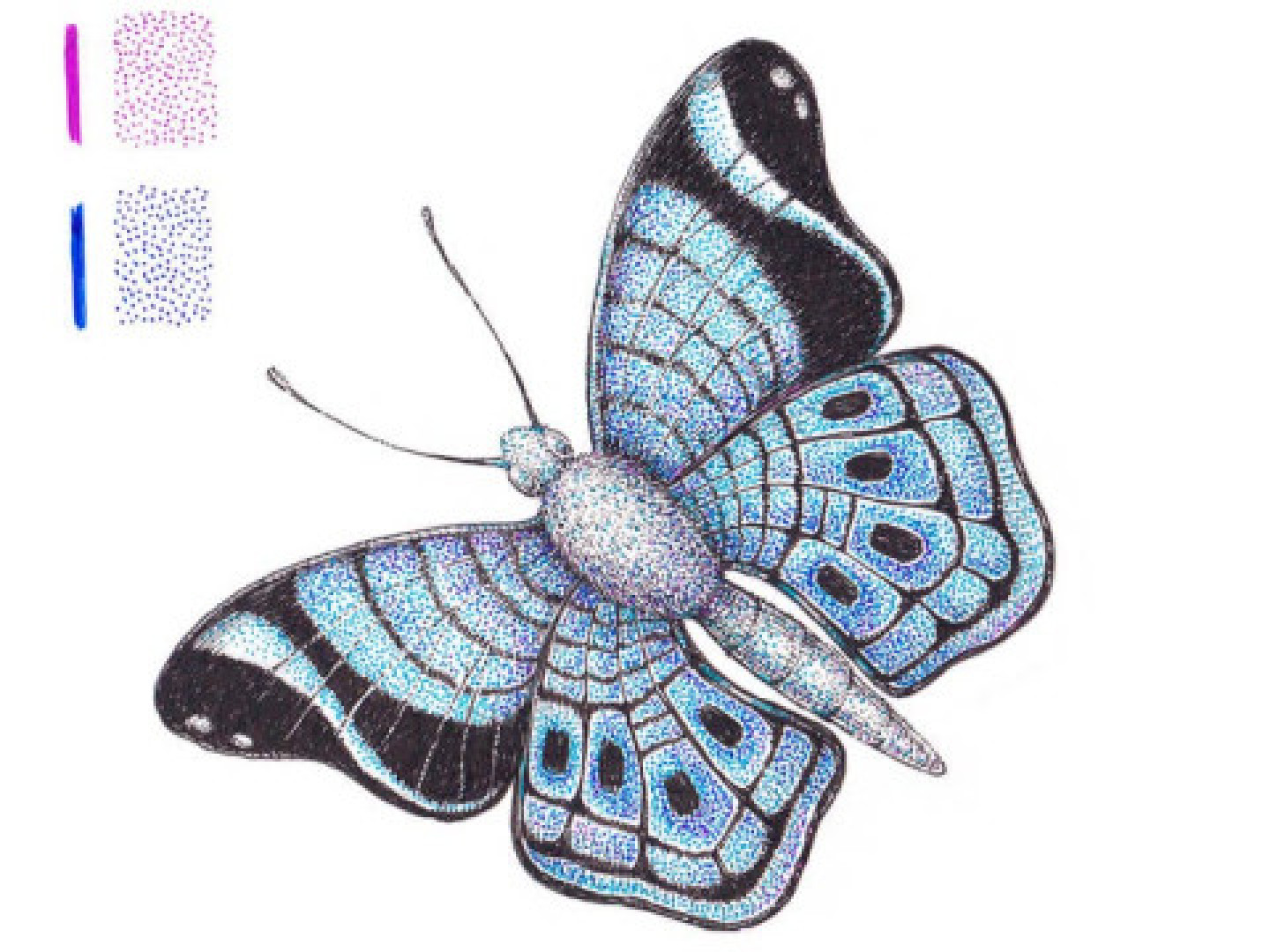 Cum desenăm un fluture frumos?
