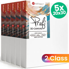 ARTMIE 3D Canvas Set (5 buc) - Calitate 2 - 20x30 cm