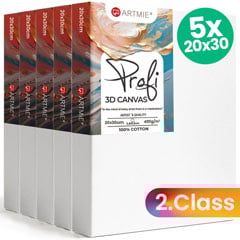 ARTMIE 3D Canvas Set (5 buc) - Calitate 2 - 20x30 cm