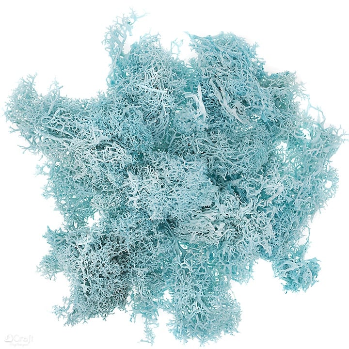 Briofitele ren naturale 30g | diferite nuanțe