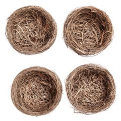 Cuiburi decorative naturale 9 cm / Set de 4