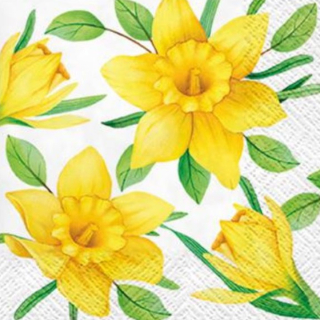Șervețele pentru decoupage Daffodils in Bloom - 1 buc