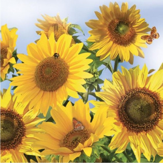 Șervețele pentru decoupage Sunflowers in the Sky - 1 buc