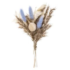 Mini buchet uscat "Savannah Blue"
