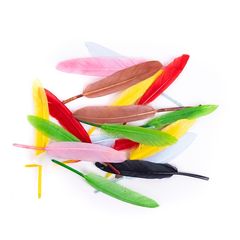 Pene de gâscă multicolore 13 cm