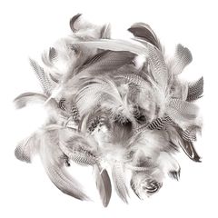 Pene de rață 5 - 12 cm / 5 g