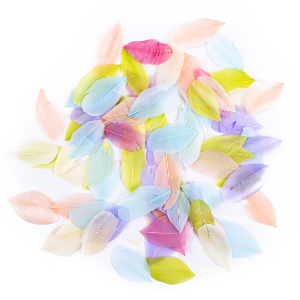 Pene decorative 6 cm - 5g - Pastel