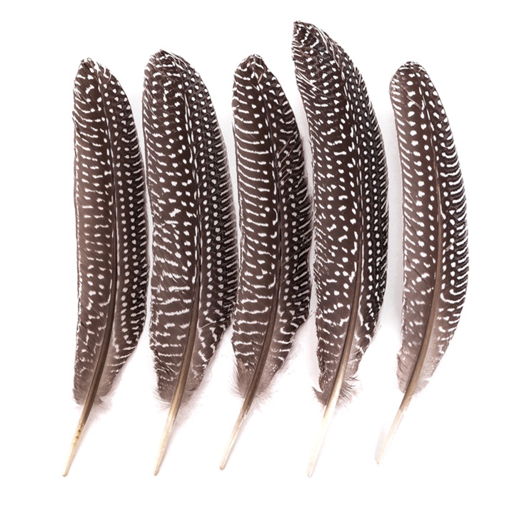 Pene decorative de fazan mari / 5 buc