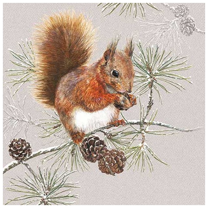 Șervețele ecologice pentru decoupage Squirrel in Winter- 1 piesă