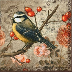 Șervețele pentru DECOUPAGE - Bird - 1 buc