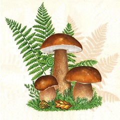 Servetele pentru decoupage Boletus with Leaves of Fern - 1 buc