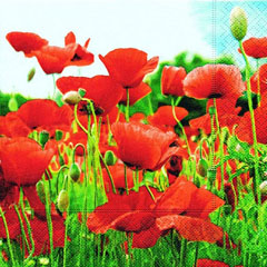 Șervețele pentru DECOUPAGE - Field of poppies - 1 buc