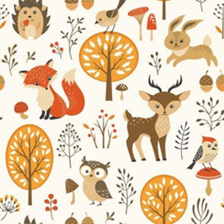 Șervețele pentru DECOUPAGE Forest Friends - 1 buc