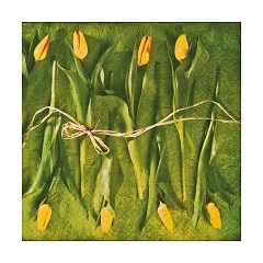 Servetele pentru decoupage Fresh Tulips - 1 buc