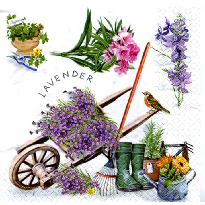 Șervețele pentru DECOUPAGE Gardening - 1 buc