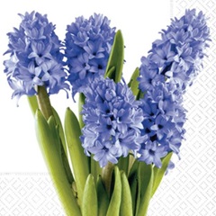 Șervețele pentru decoupage Hyacinths - 1 piesă