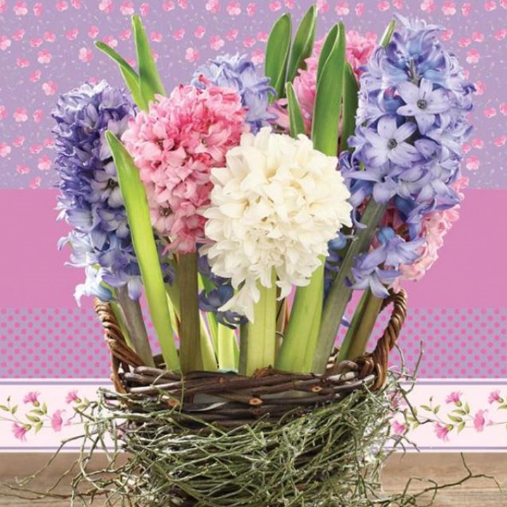Șervețele pentru decoupage Hyacinths in a Basket - 1 piesă