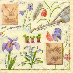 Șervețele pentru DECOUPAGE - In the Garden - 1 buc