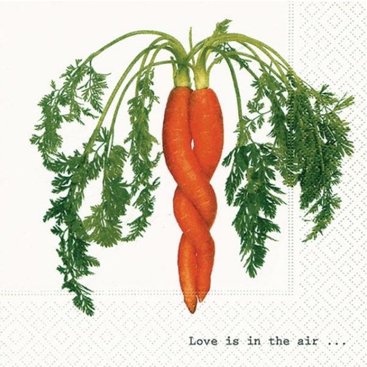Șervețele pentru decoupage Interwined Carrot - 1 buc