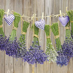 Șervețele pentru DECOUPAGE - Lavanda - 1 buc