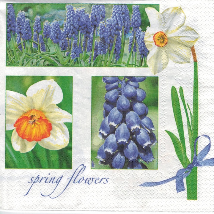 Șervețele pentru decoupage Muscari & Narcissus - 1 buc