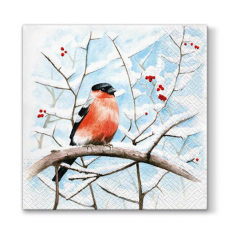 Șervețele pentru decoupage - Păsări - 1 produs