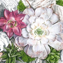 Servetele pentru decoupage Plants and Stones Composition - 1 buc