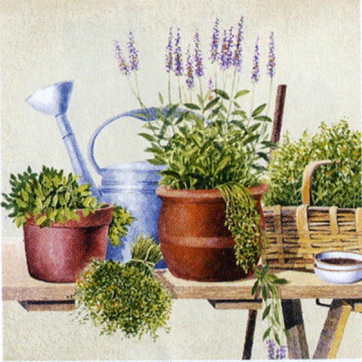 Servetele pentru decoupage Potting Herbs - 1 buc