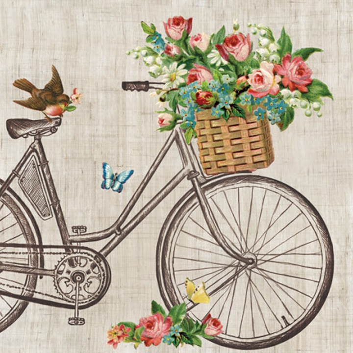 Șervețele pentru decoupage Robin on Bike - 1 buc
