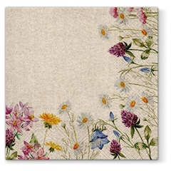 Servetele pentru decoupage Spring Frame - 1 buc