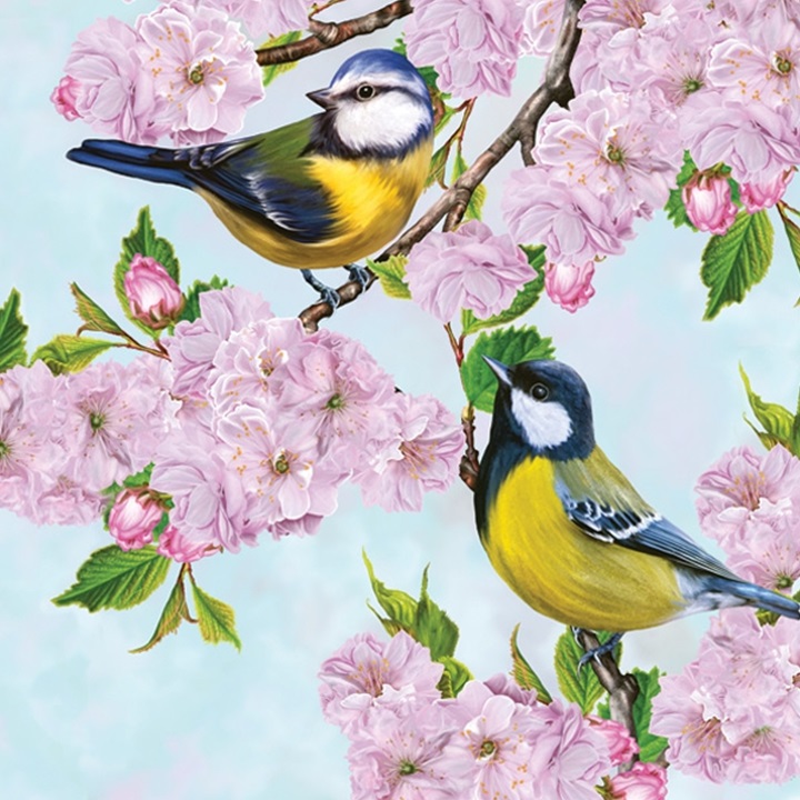Șervețele pentru decoupage Tits on Cherry Blossom Twig - 1 buc