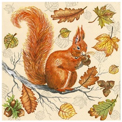 Servetele pentru decoupage Veverita - 1 buc