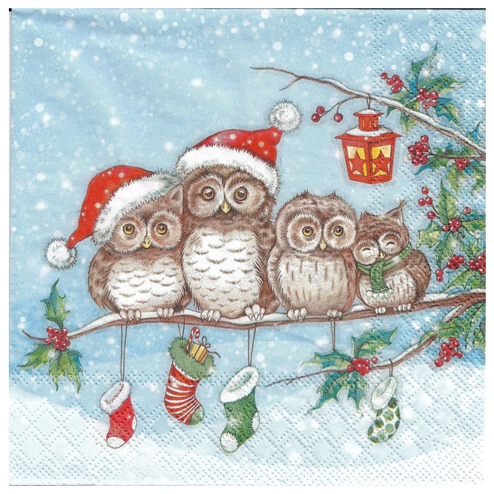 Șervețele pentru DECOUPAGE Warm Together - 1 buc