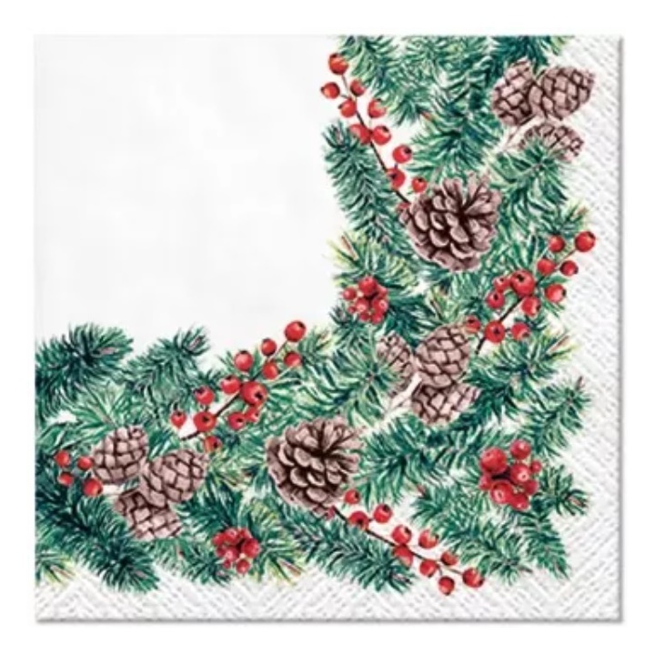 Șervețele pentru DECOUPAGE Winter Branches - 1 buc