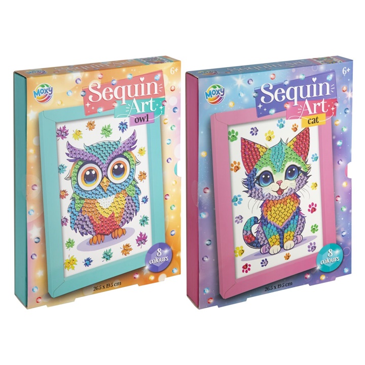 Set de artizanat cu paiete | Diverse tipuri
