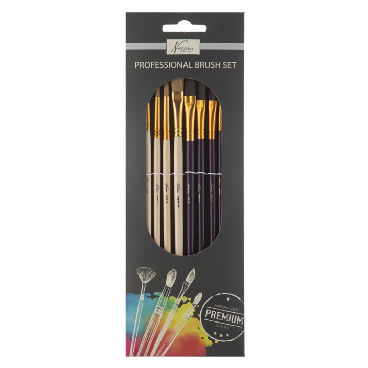 Set de perii profesionale Nassau 10 piese